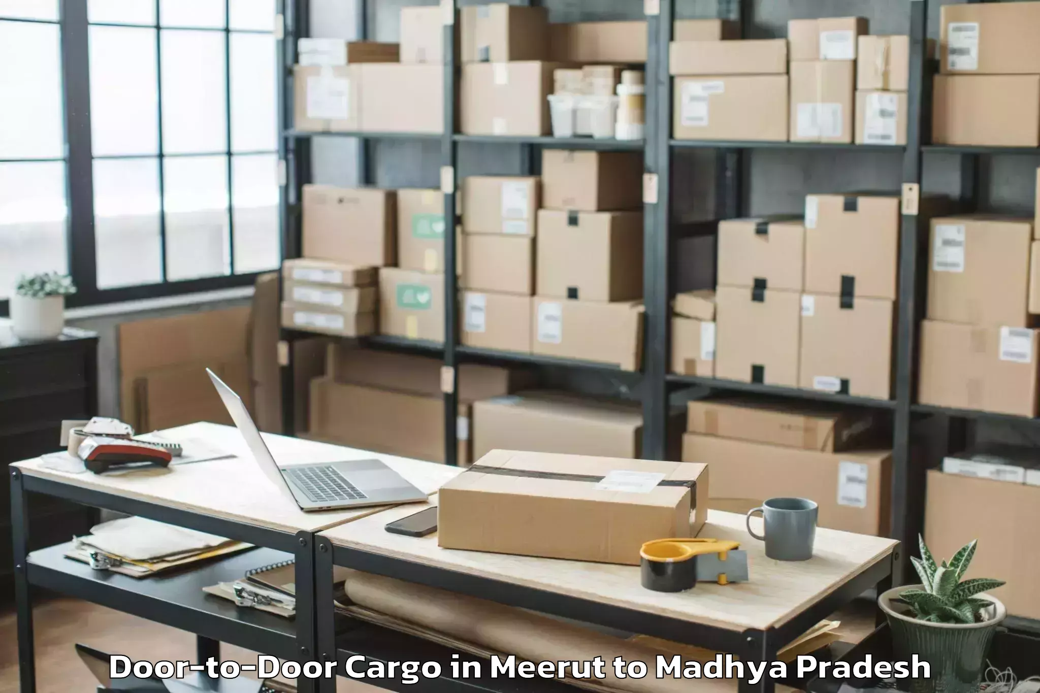 Get Meerut to Mandsaur University Mandsaur Door To Door Cargo